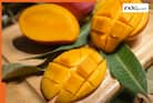 From Nawabs to now: The story of West Bengal's delicious Rs 1500 Kohitoor Mango