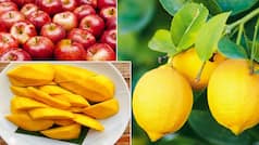 Mango, Papaya And Other Fruits You Should Eat For Glowing Skin And Hair