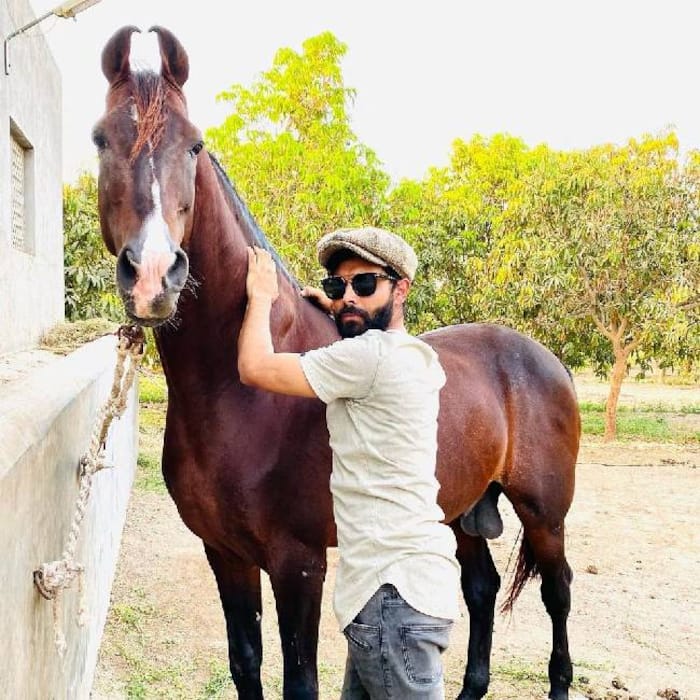 Ravidra Jadeja's horse collection: Look at his exclusive stable of rare ...