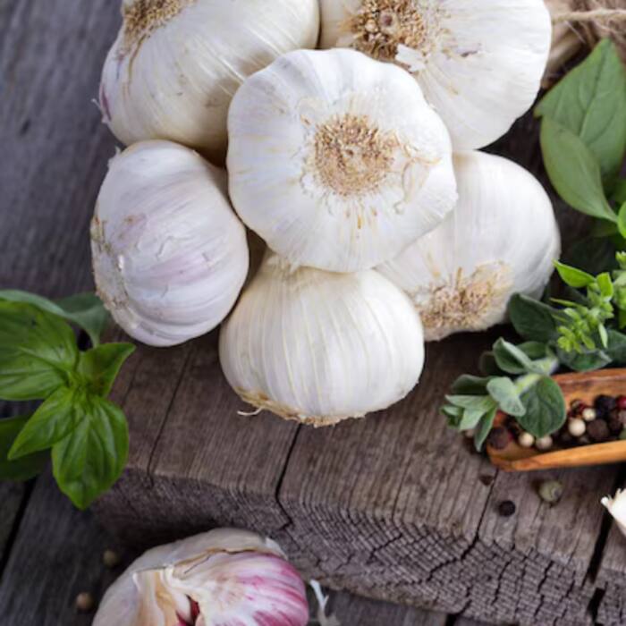 Garlic support longevity