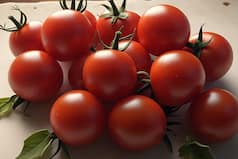 Boost Your Immunity: 5 Reasons To Add Cherry Tomatoes To Your Diet