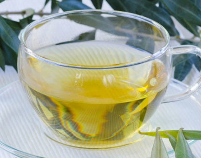Green Tea’s rich antioxidant properties help in healing Tuberculosis