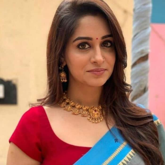 Grey and Blue Saree with Red Blouse
