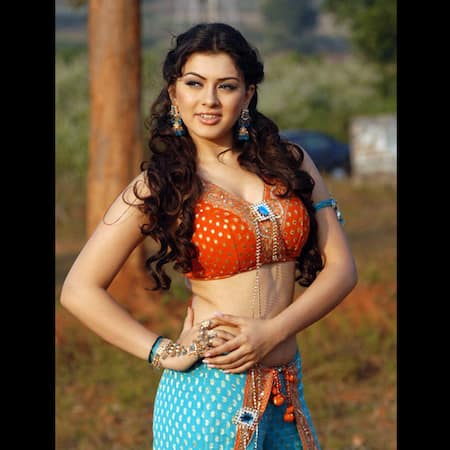 hansika-motwani-flaunting-her-sexy-curves-201801-1516708683.jpg