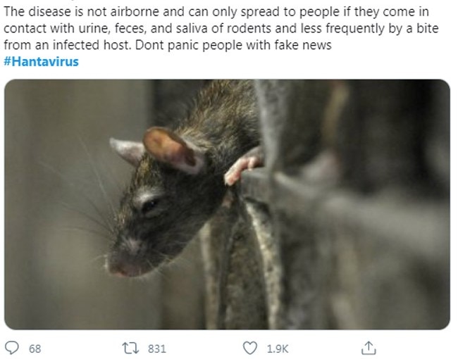 Hantavirus = Rat Disease