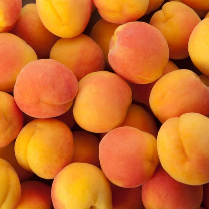 Here are 5 super foods for breastfeeding mothers