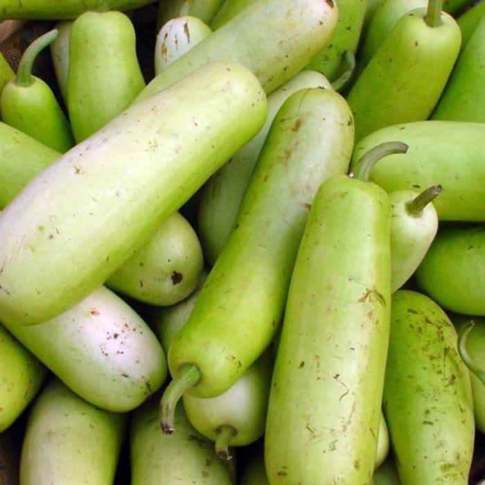 Here are 5 super foods for breastfeeding mothers