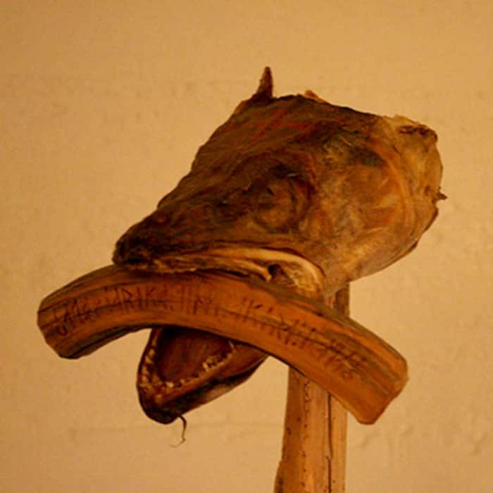 Head of a ling(a fish) at Museum of Icelandic Sorcery and Witchcraft