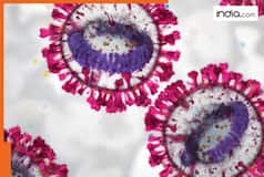 What is Nipah Virus? Can it cause death? How it spreads? 7 ways to protect yourself