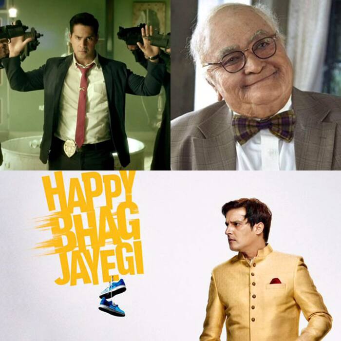 IIFA 2017 nomination for performance in comedy role