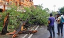 IMD Monsoon tracker June 26- Rain lashes Kolkata, Jaipur and Shimla | In Pics