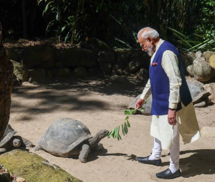 In Pics: PM Modi visits the Giant Tortoise Enclosure at the Seychelles National Botanical Garden
