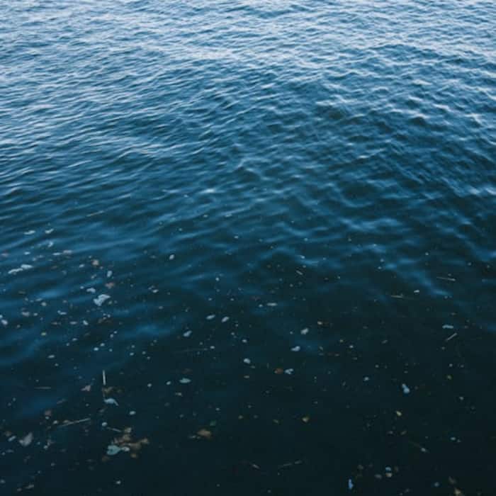 It is a unique part of the Atlantic Ocean where you can travel for days without seeing land 