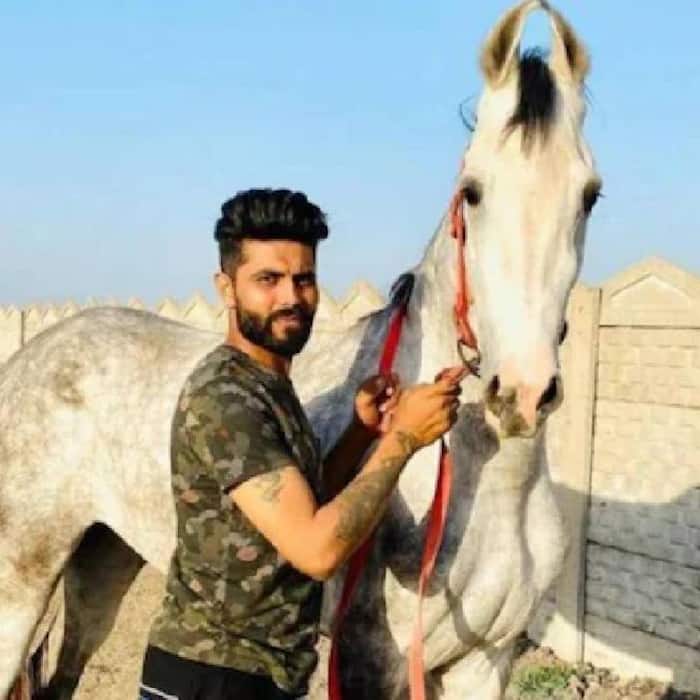 Ravidra Jadeja's horse collection: Look at his exclusive stable of rare ...