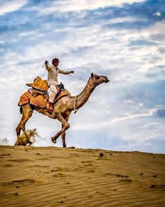 Friday, Saturday, Sunday: Places Near Delhi For A Long Weekend Trip