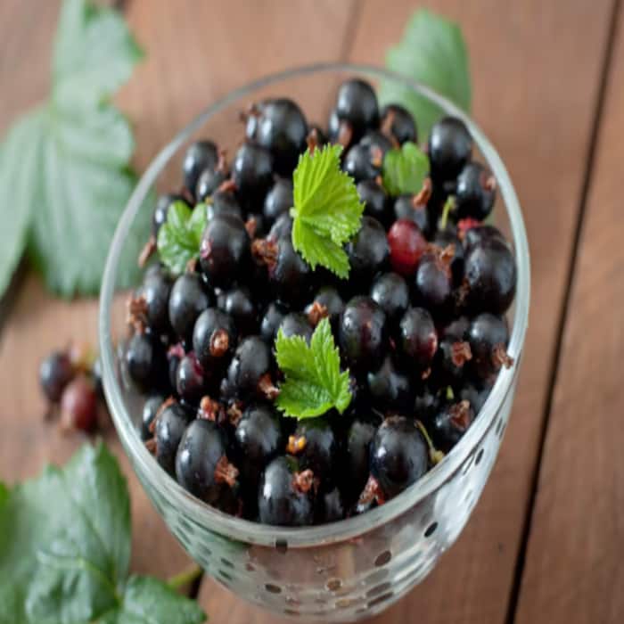 Kala Jamun  The Adopted Son