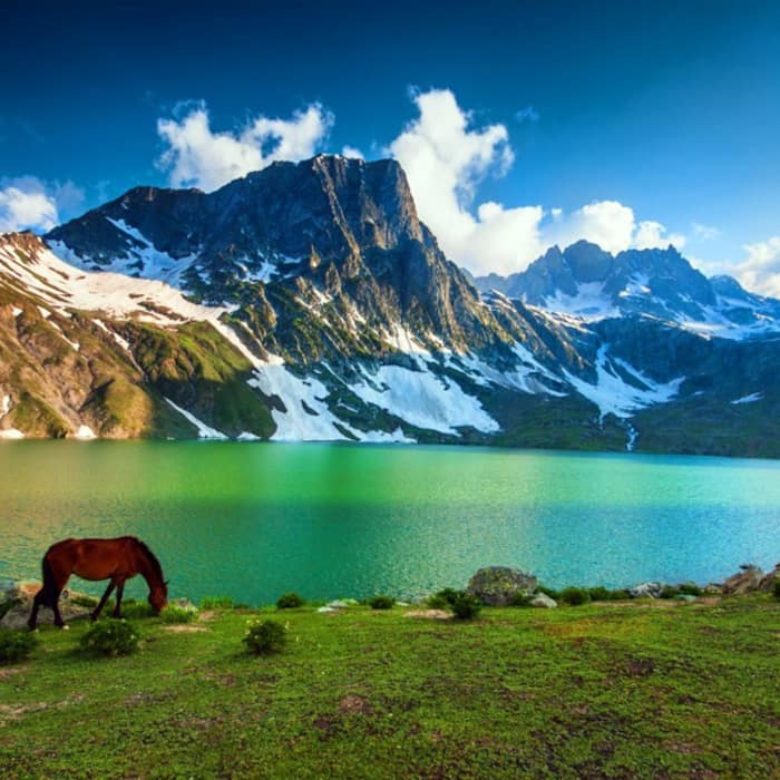 Kashmir