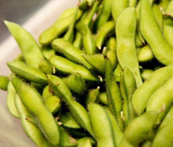 Keep edamame with you to aid weight loss