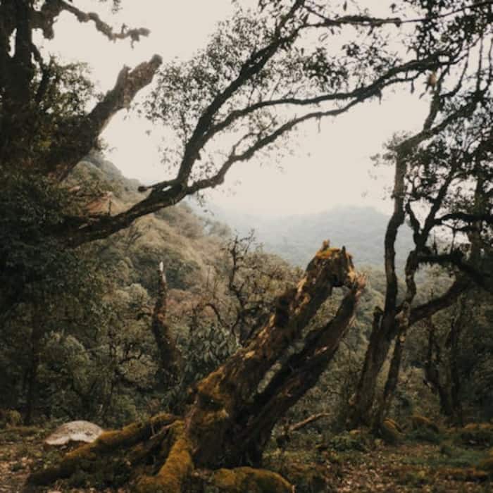 Khangchendzonga National Park is a Mixed Heritage site in Sikkim that protects the world’s third-highest peak along with ancient glaciers and landscapes sacred to local tribes.