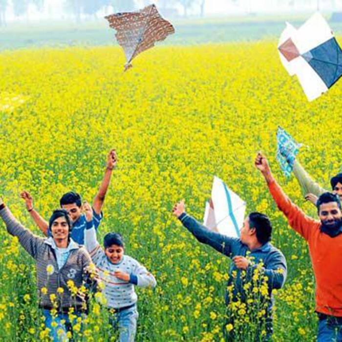 Kids flying kites on Vasant Panchmi