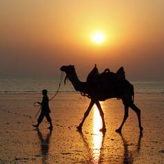 December Special: 11 best places to visit in December in India