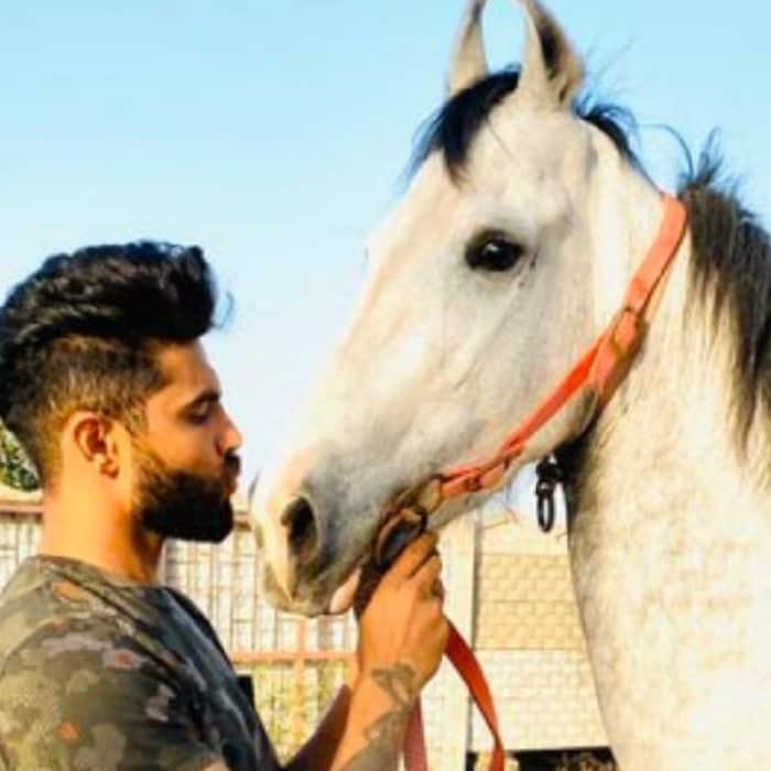Ravidra Jadeja's horse collection: Look at his exclusive stable of rare ...