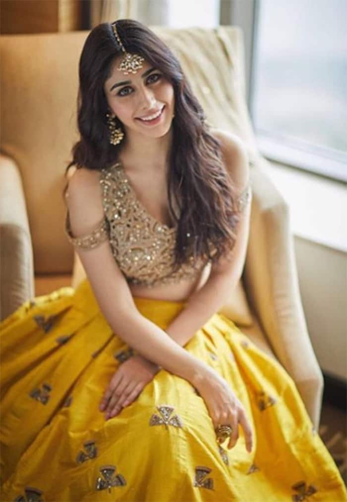 Loveratri actress Warina Hussain is not born in India