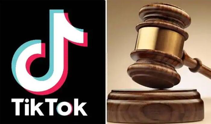 Madras HC Wants Centre to Ban TikTok, Says it Promotes Pornography