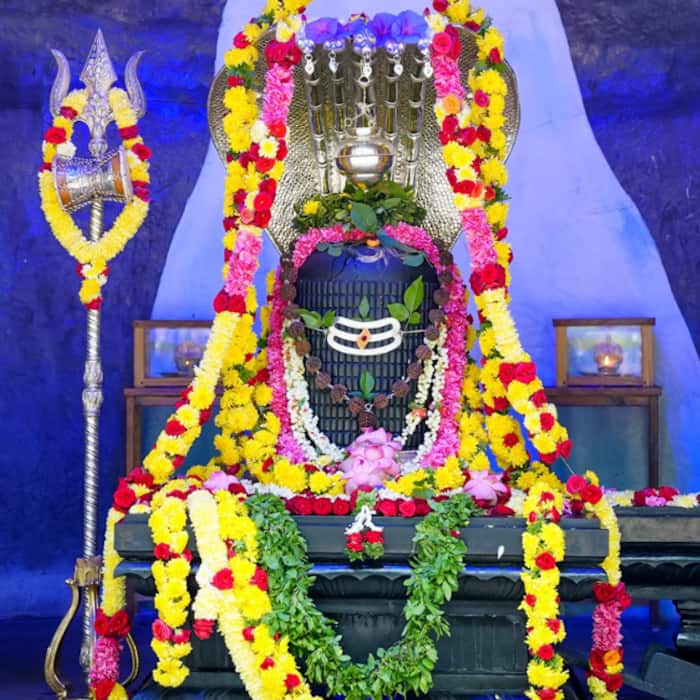 Mahashivratri 2026  10 quotes on Lord Shiva by Gurudev Sri Sri Ravi Shankar