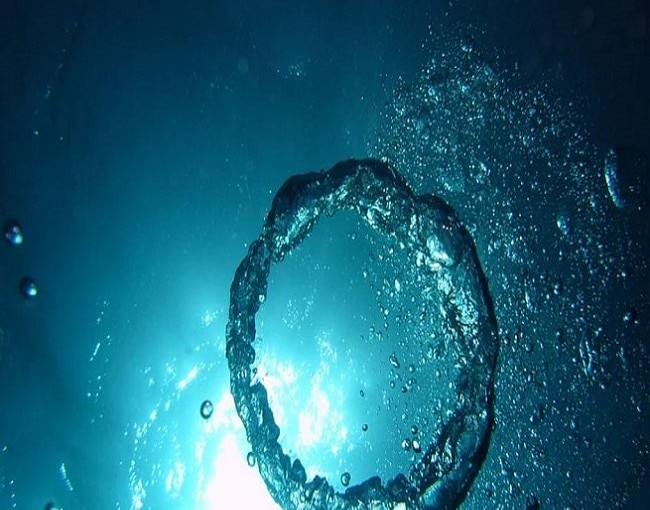 Major Source of Oxygen