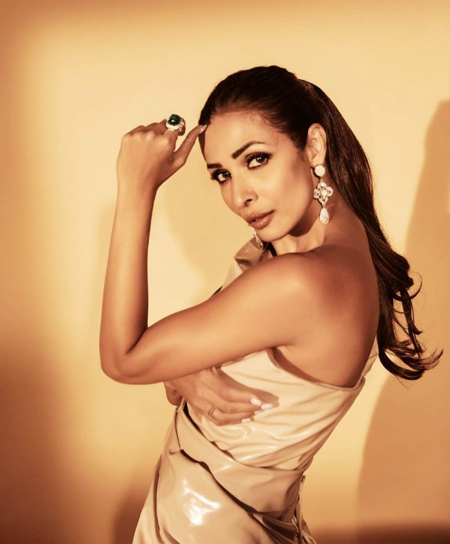 Malaika Arora's Mesmerizing Beauty in Two Glam Dresses: A Visual Delight