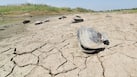 China Hit by Drought as Nation Records High Monthly Temperatures