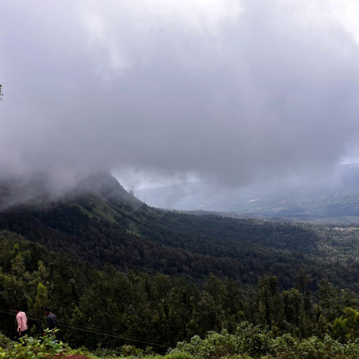 Mist engulfs the Mullayanagiri hill range following monsoon rains, near Chikkamagaluru