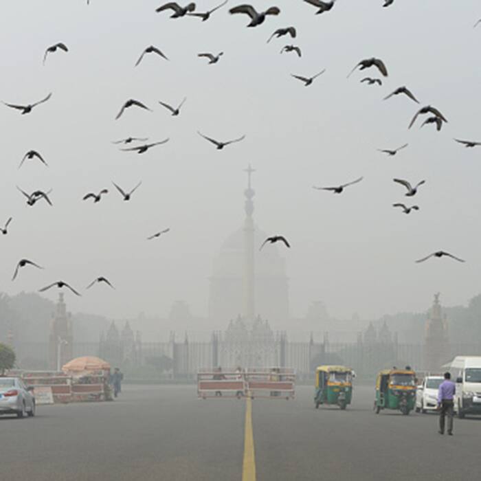 Morning view of Rashtrapati Bhavan covered with smog