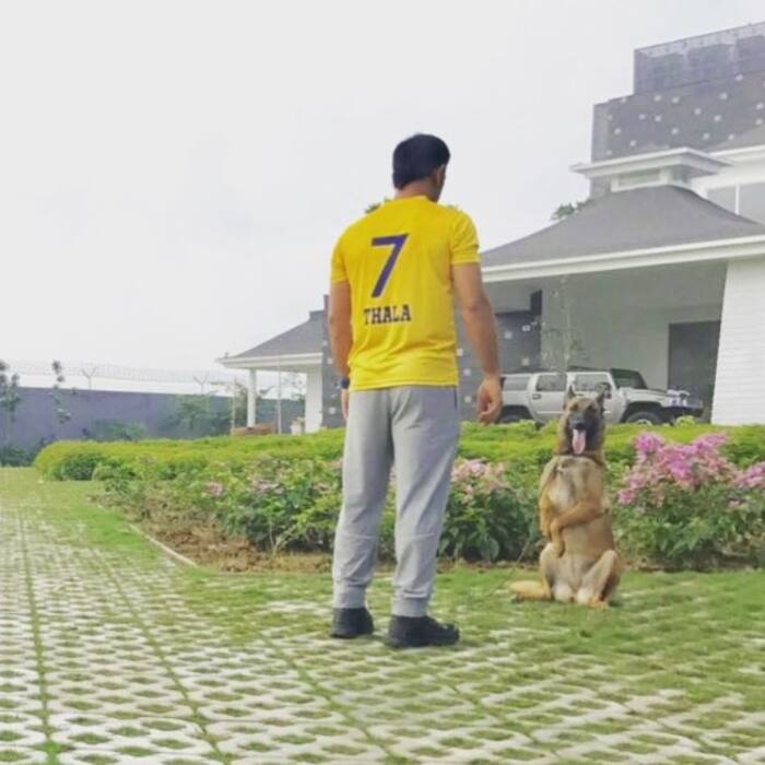 MS Dhoni   s Expansive Ranchi Estate      Kailashpati 