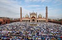 Eid Al Adha Latest News Videos And Photos On Eid Al Adha India Com News