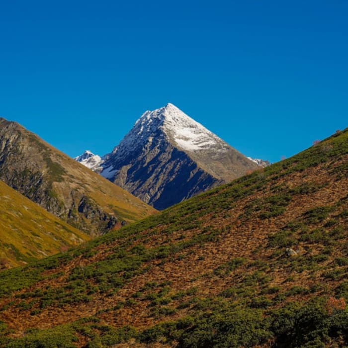 Nanda Devi National Park is a rugged mountain wilderness in Uttarakhand that surrounds Indias second-highest peak and remains one of the most pristine environments in the world.