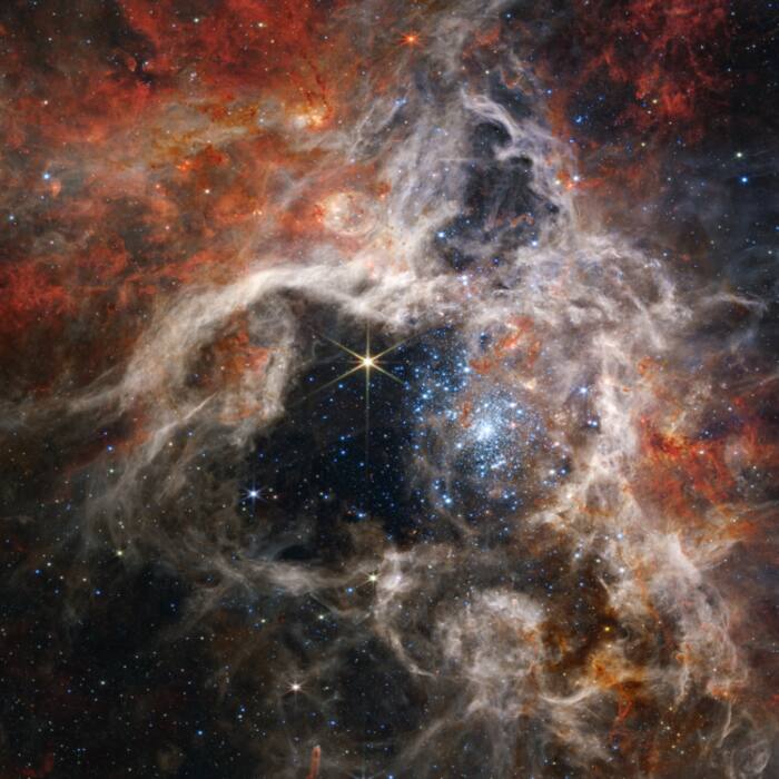 NASAs James Webb Space Telescope’s Near-Infrared Camera (NIRCam) displays the Tarantula Nebula star-forming region in a new light