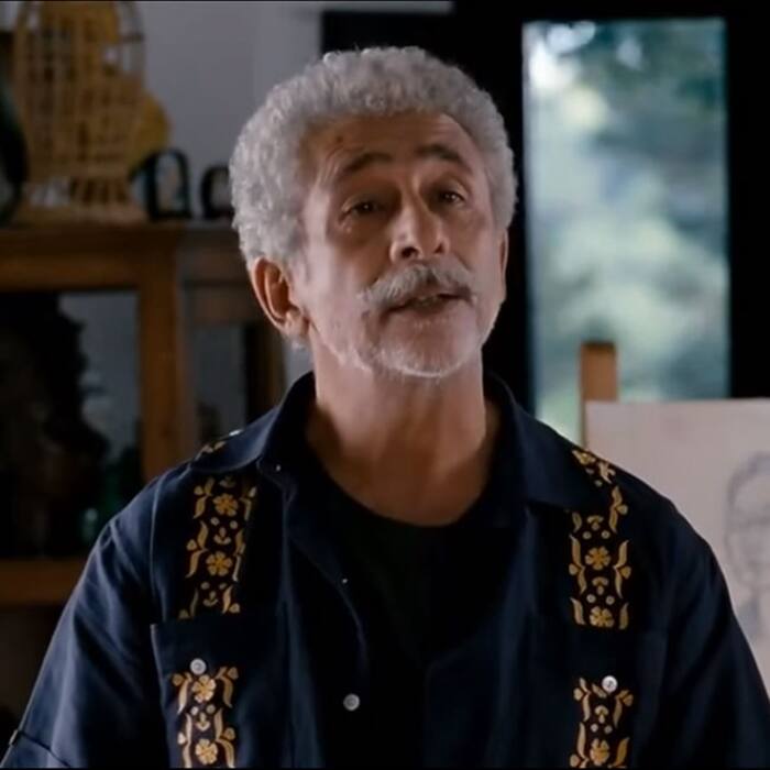 Naseeruddin Shah as Salman Habib from Zindagi Na Milegi Dobara