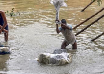 india.com top news