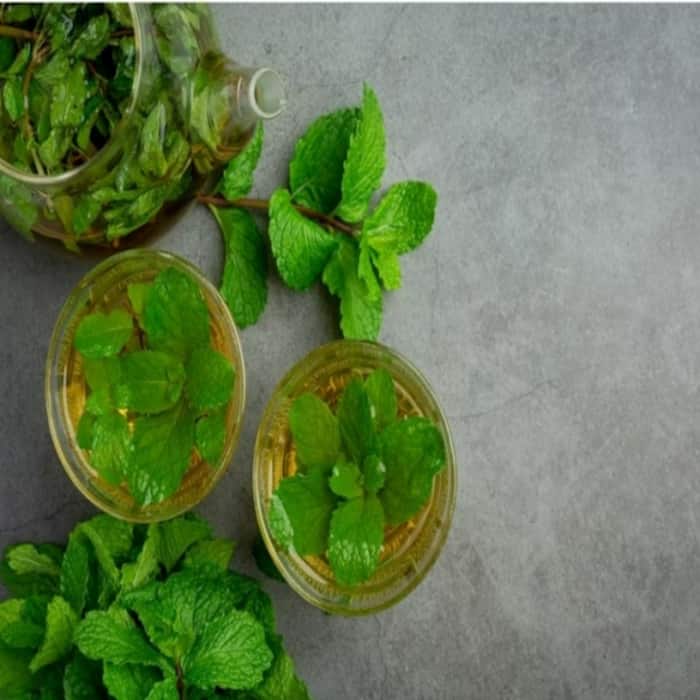 Gut Health: 5 Herbs Off the Kitchen Shelf to Boost Digestion Naturally