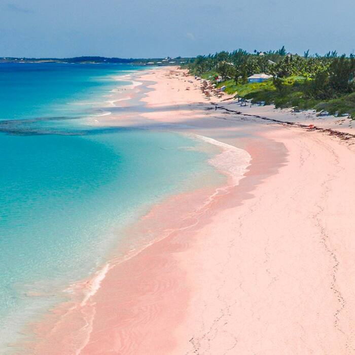 Pink Sand Beach in Bahamas