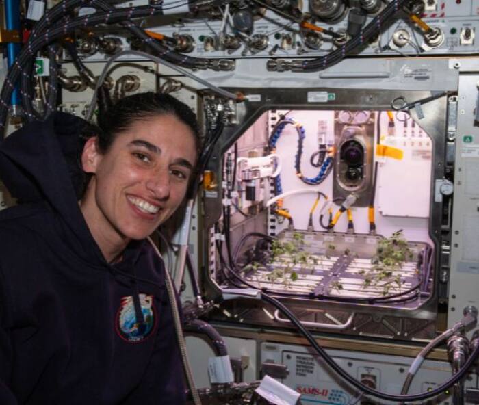 Plant Growth in Space