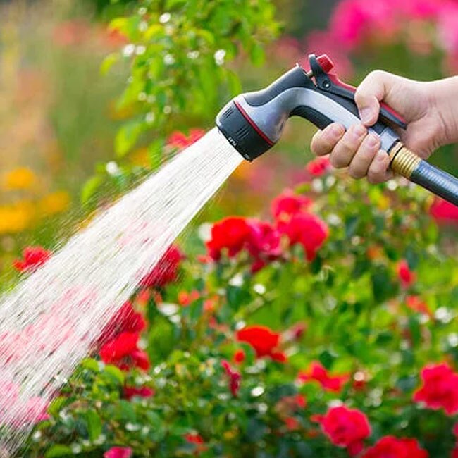 Teach kids the importance of water