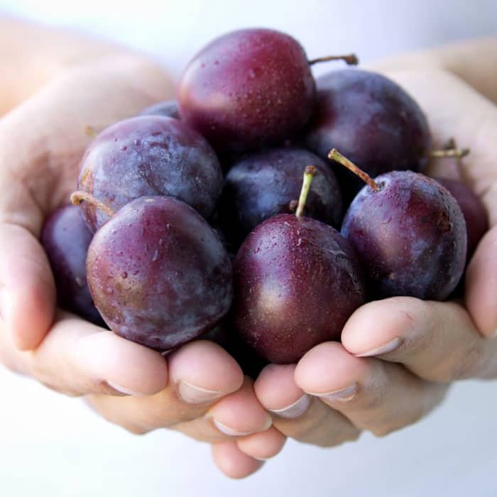 Plums