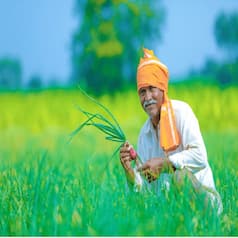 Ahead of Disbursing PM Kisan 12th Installment, Govt to Announce Good News For Farmers. Deets Here