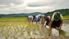 PM Kisan Samman Nidhi Yojana: These Farmers Have to Return Credited Amount. Deets Here