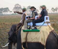 In Pics: PM Modi Visits Kaziranga National Park in Assam; Take Elephant And Jeep Safari