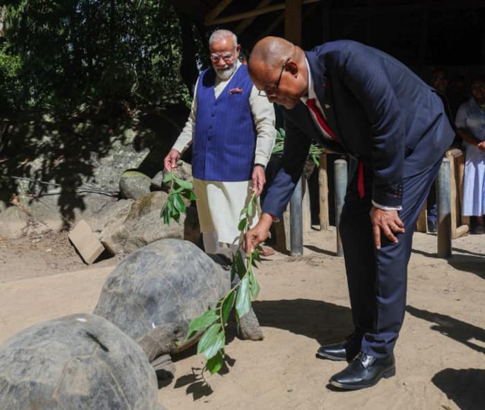 PM Modi visits tortoise enclosure, joins Seychelles president in tree plantation ceremony
