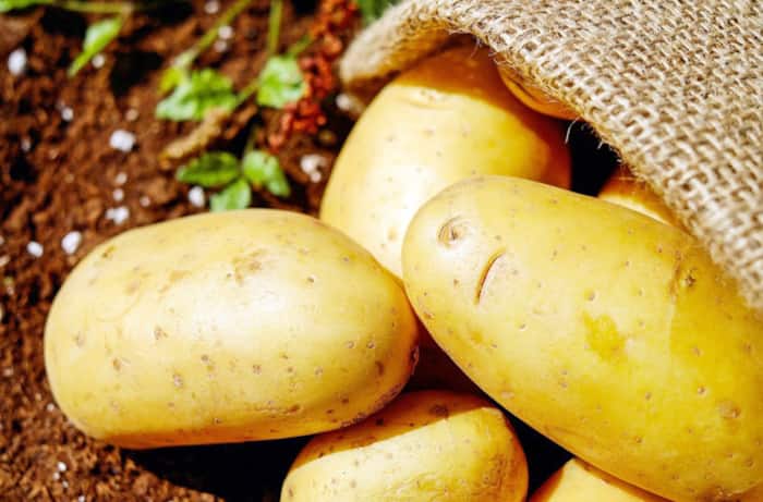 Potato